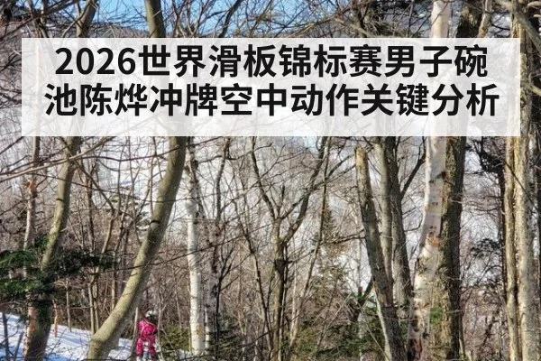 2026世界滑板锦标赛男子碗池陈烨冲牌空中动作关键分析